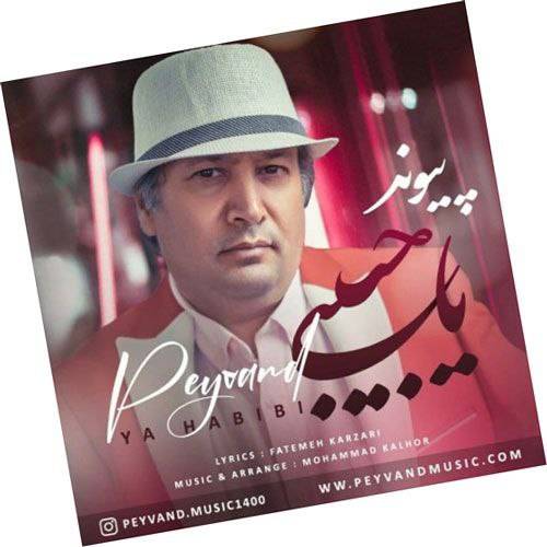 پیوند یا حبیبی